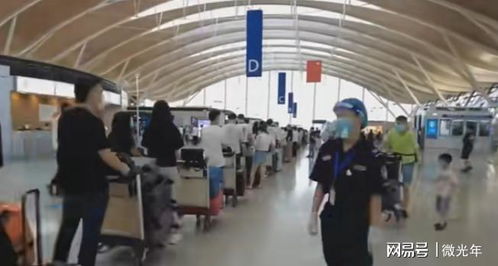 高額留學(xué)中介費引爭議 詆毀普通家庭還是市場現(xiàn)實？